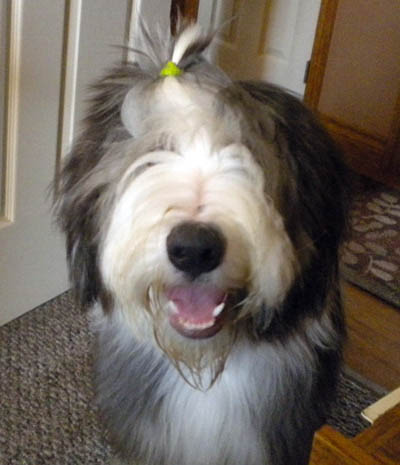 Cade - a happy boy at 5 months